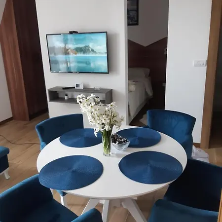 Apartmán Borovi 18